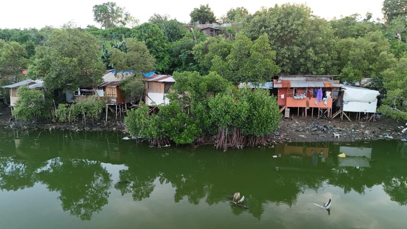 Houses on stilts stand among mangroves at the edge of green water