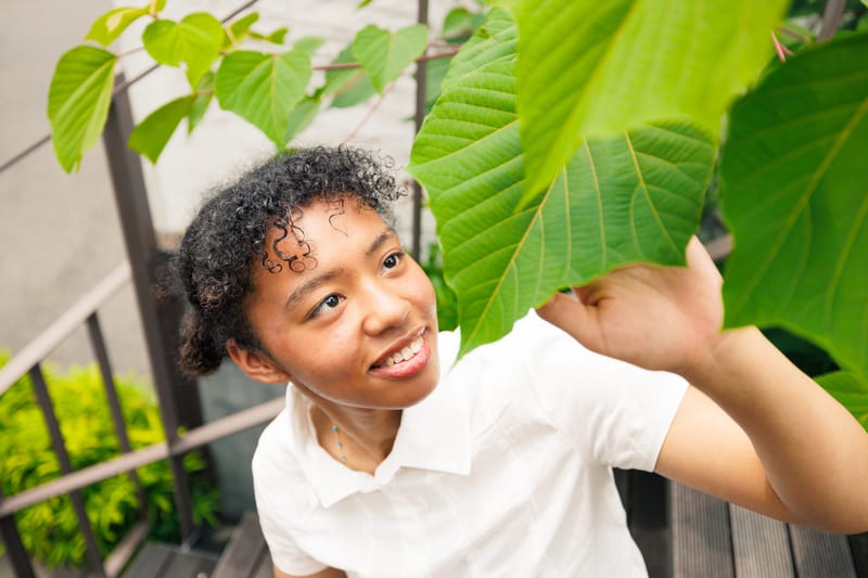 On an outdoor staircase, a person lifts a large green leaf and smiles
