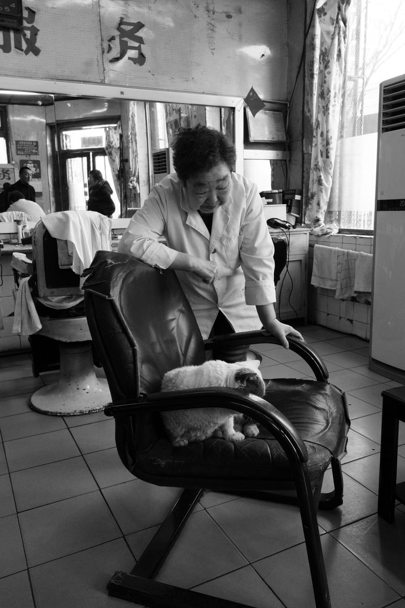 Black and white: a barber in a white coat strokes a cat on one of the chairs